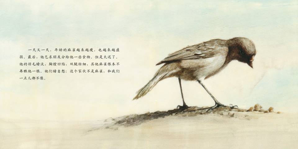 断喙鸟 (08),绘本,绘本故事,绘本阅读,故事书,童书,图画书,课外阅读